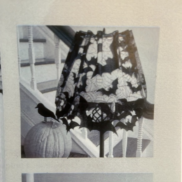 Going Batty window, doorway w rod slot. - Picture 2 of 6